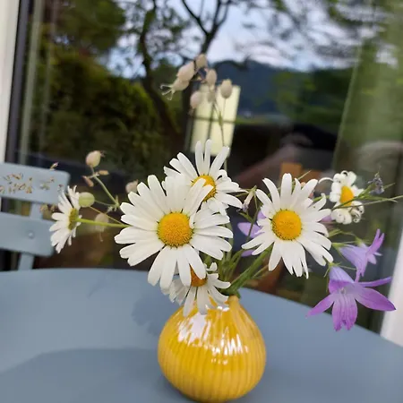 Casa de Férias S'hauserl 311 - Your Austrian *