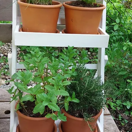 S'hauserl 311 - Your Austrian * Altaussee