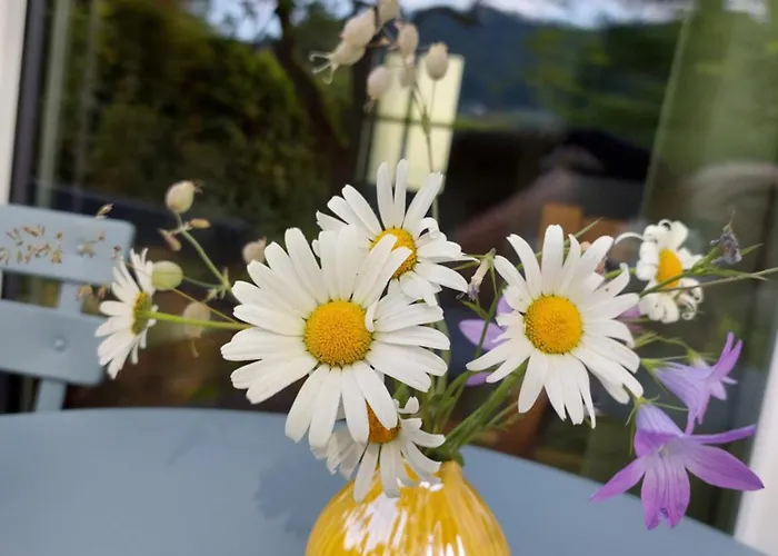 Vakantiehuis S'hauserl 311 - Your Austrian *