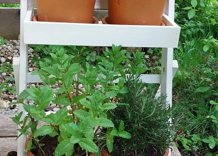 S'hauserl 311 - Your Austrian * Altaussee